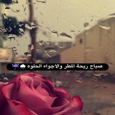 وليد