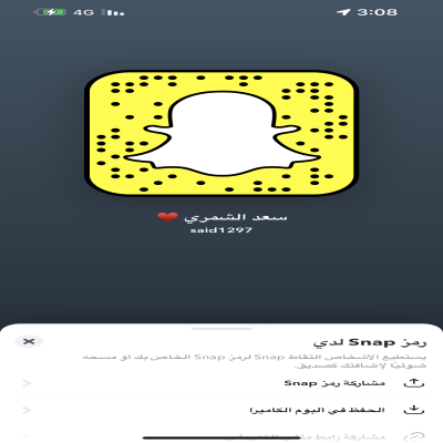 سعد الشمري 