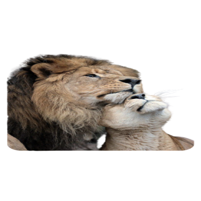 sυℓταи 