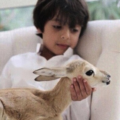محمد الشامسي