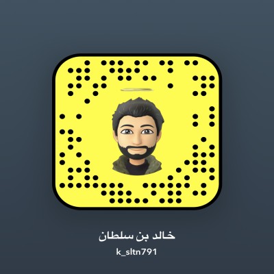 خالد بن سلطان
