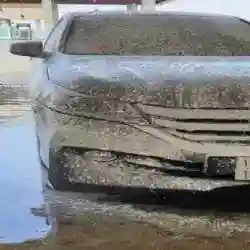 تعارف بنات 