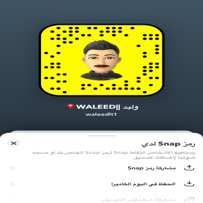 وليد النظيري
