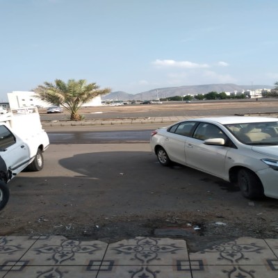 صالح النجيمي