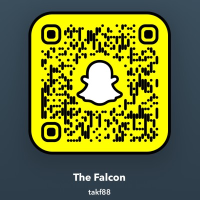The Falcon