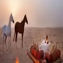 متزوج جنتل 