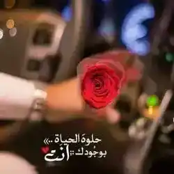 ALMAMARI55
