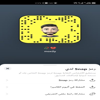 مسطول