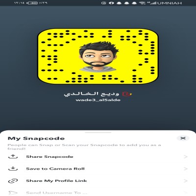 وديـع الـخـالـدي ?
