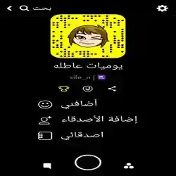 يوميات عاطله