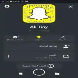 Ali Tiny