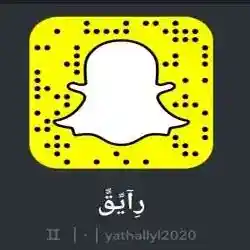 رايق