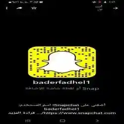 الشاعر بدر فاضل