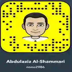 Abdulaziz Al-Shammari