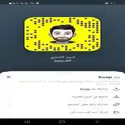 اسير الشمري 