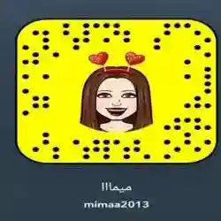 mimaa2013 