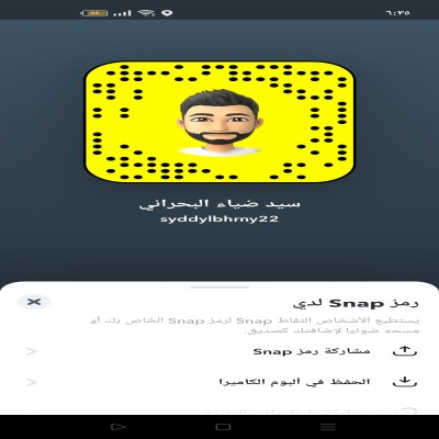 سيد ضياء البحراني 