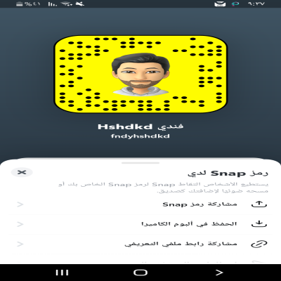 فندي 