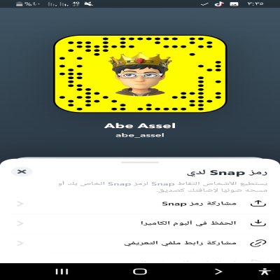 Abe_aseel