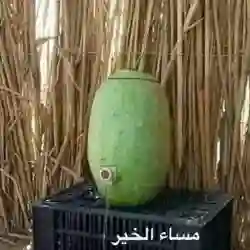 ابو فهد